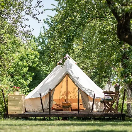 Dragonfly Gardens Urban Glamping Brasov-2